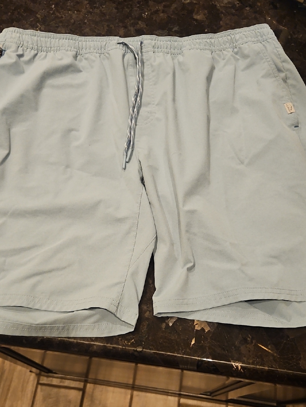 L.L. Bean Light Blue Casual Shorts